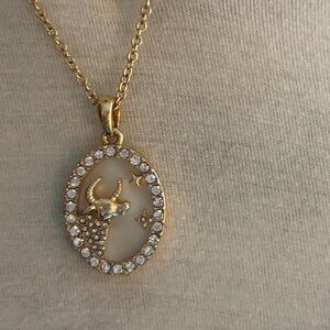 Trendy Boutique Gold Zodiac Necklace
